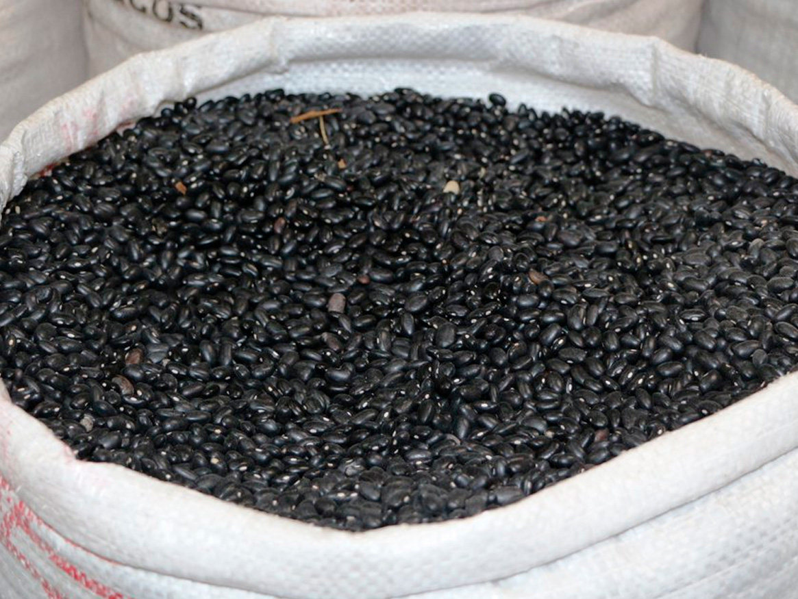 frijol-negro